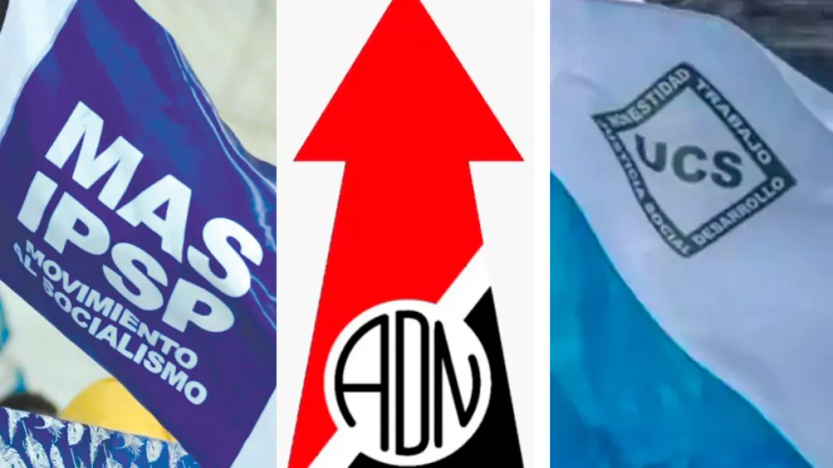 MAS salva su personería por 0,17%; a ADN y UCS no les alcanza para sobrevivir