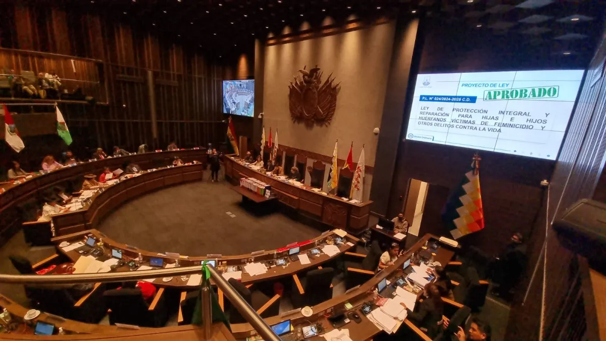 El Senado sanciona ley de protección integral para huérfanos de feminicidio en Bolivia
